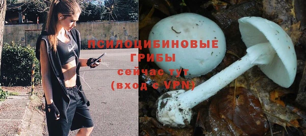бошки Абаза